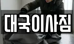대국이사짐