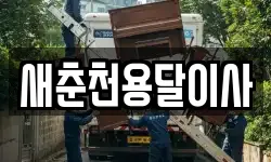 새춘천용달이사