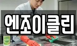 엔조이클린