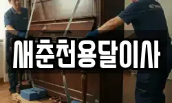 새춘천용달이사