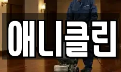 애니클린
