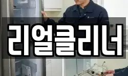 리얼클리너