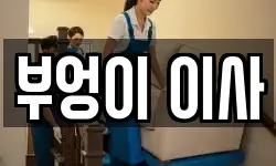 부엉이 이사