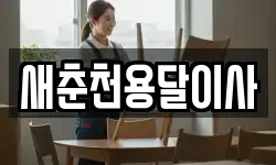새춘천용달이사