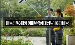 매트리스소파청소패브릭침대진드기쇼파세탁