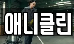 애니클린