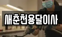새춘천용달이사