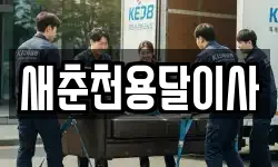 새춘천용달이사