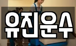강원 춘천시 서면 이사,용달이사,포장이사,원룸이사,보관이사