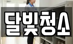 달빛청소