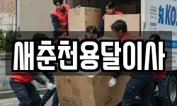 새춘천용달이사