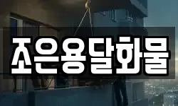 조은용달화물