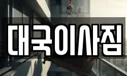 대국이사짐