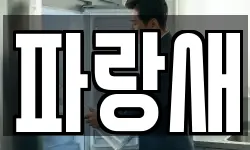 파랑새