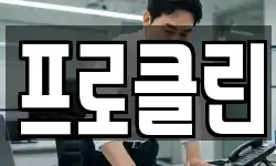 프로클린