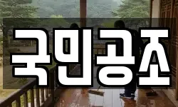 국민공조
