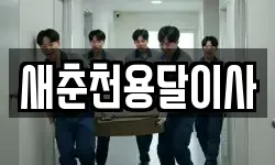 새춘천용달이사