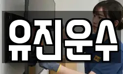 유진운수