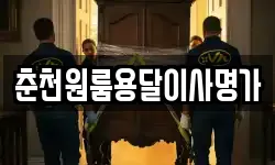 춘천원룸용달이사명가