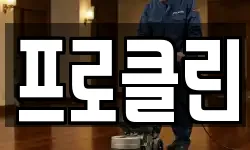 프로클린