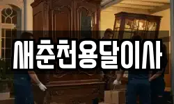 새춘천용달이사