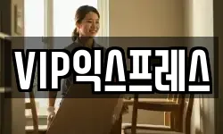 VIP익스프레스