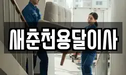 새춘천용달이사