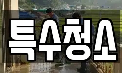특수청소