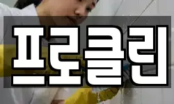프로클린