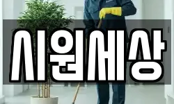 시원세상
