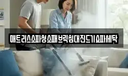 매트리스소파청소패브릭침대진드기쇼파세탁