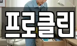 프로클린