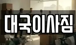 대국이사짐