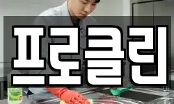 프로클린