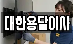대한용달이사