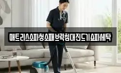 매트리스소파청소패브릭침대진드기쇼파세탁