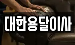 대한용달이사
