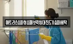 매트리스소파청소패브릭침대진드기쇼파세탁
