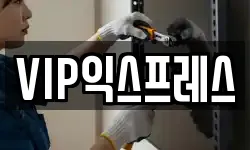VIP익스프레스