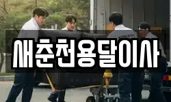 새춘천용달이사