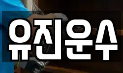 유진운수