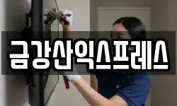 금강산익스프레스