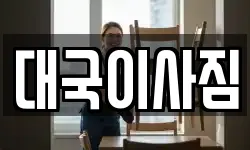 대국이사짐