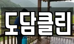도담클린