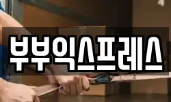 강원 춘천시 퇴계동 이사,용달이사,포장이사,원룸이사,보관이사
