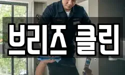 브리즈 클린