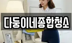 다둥이네종합청소