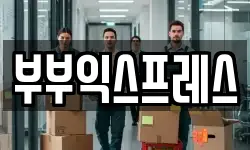 부부익스프레스