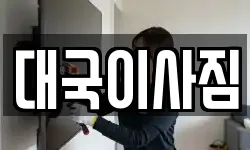 대국이사짐