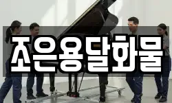 조은용달화물